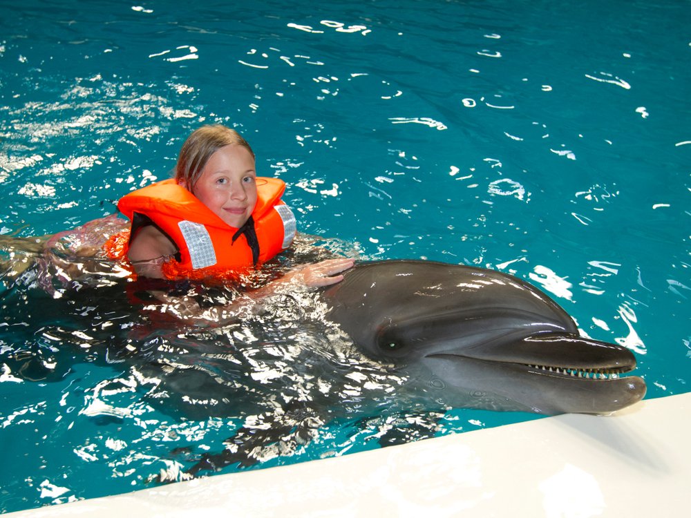 Que Faire à Agadir Avant un bon Massage Taghazout? Agadir Dolphin World - Que Faire à Agadir Avant un bon Massage Taghazout?