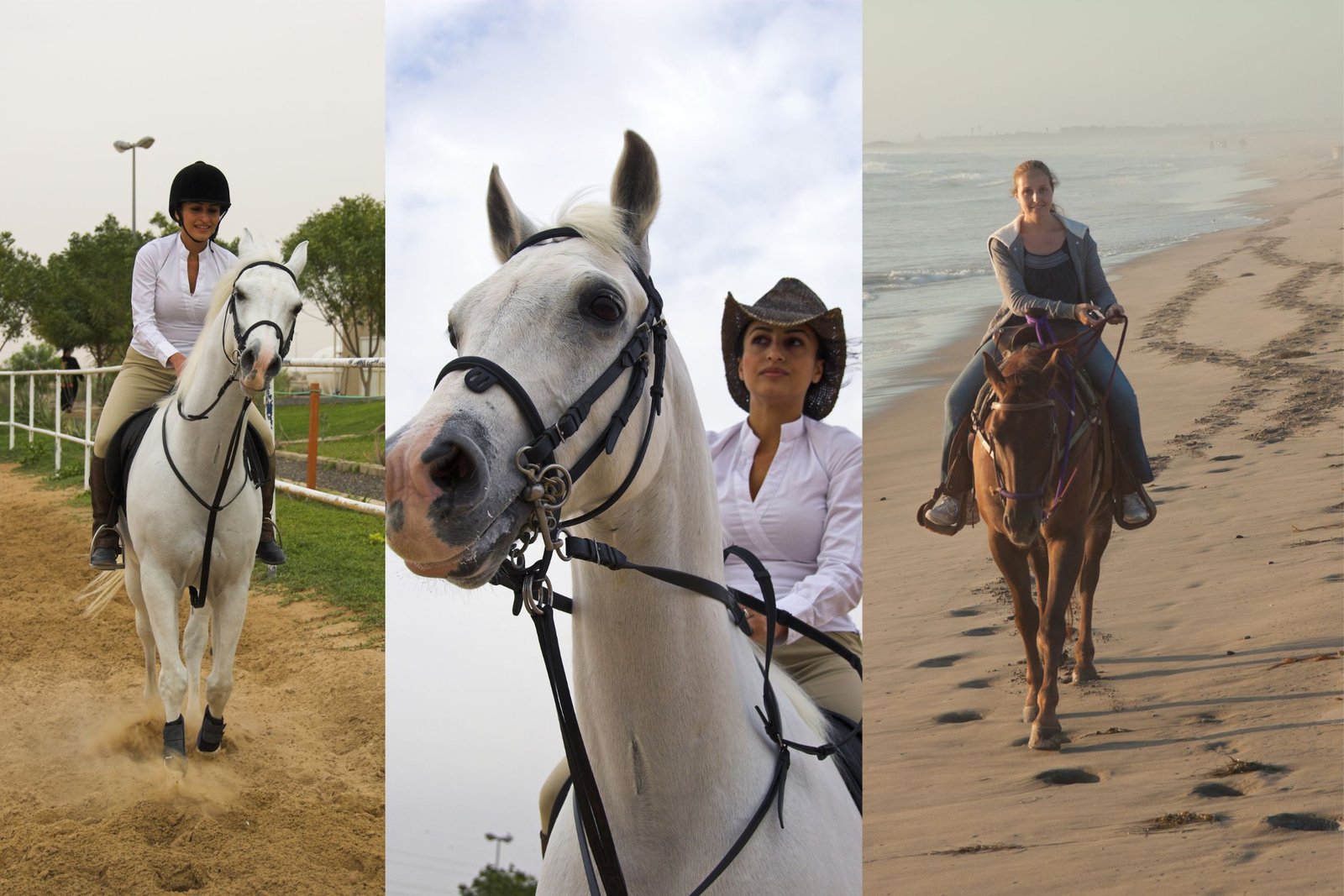 Que Faire à Agadir Avant un bon Massage Taghazout? Horse Ride taghzout - Que Faire à Agadir Avant un bon Massage Taghazout?